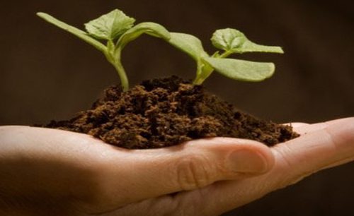 sustainableagrculture